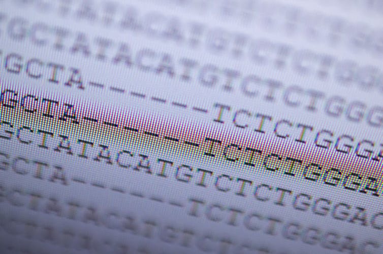 A screen showing sequences of the letters T, C, A and G.