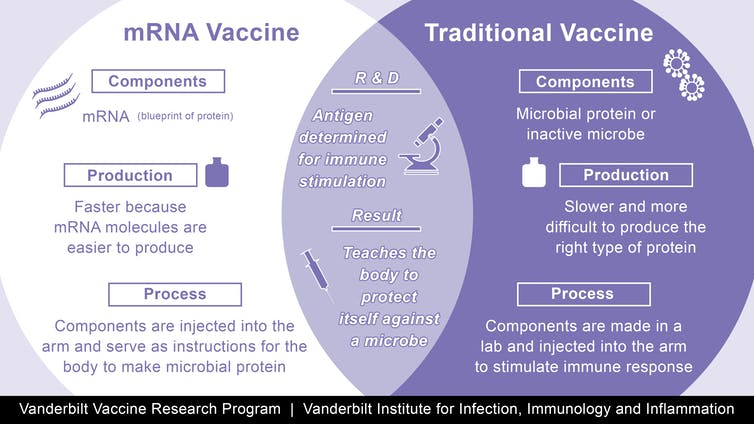 Explanation of mRNA