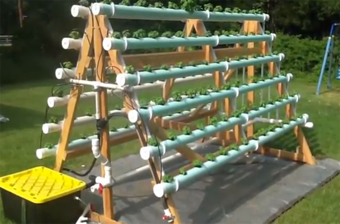 How To Build A Hydroponic Veggie Garden