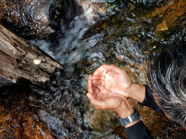 Cupped hands above water