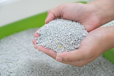 Hand holding cat litter sandbox
