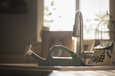 Watering can by faucet in kitchen sink