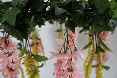 several hanging blooms
