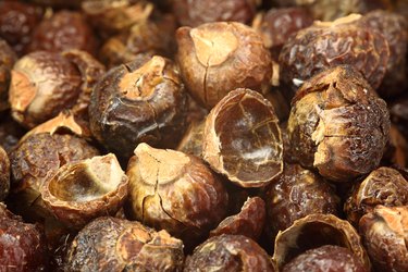 soap nuts (sapindus mukorossi) background