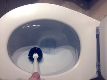 Daily perspective: Cropped hand of person cleaning toilet bowl. Top view.