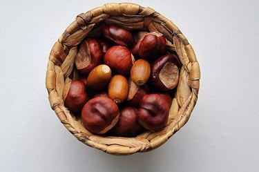 An image of a bowl of chestnuts.