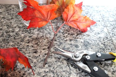 cut leaves