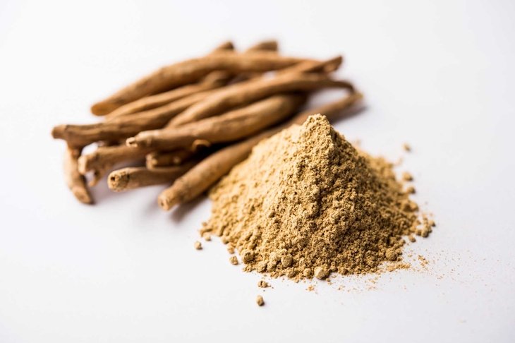 Ashwagandha / Aswaganda OR Indian Ginseng is an Ayurveda medicine in stem and powder form. Isolated on plain background. selective focus